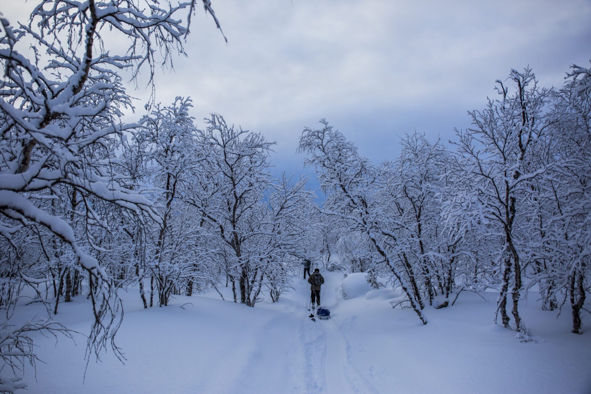 Fin de año en Rovaniemi: Apukka Resort