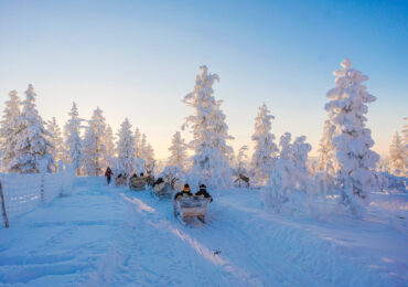 Bosque invernal nevado con árboles cubiertos de nieve intensa bajo un cielo azul en Saariselkä, Laponia.